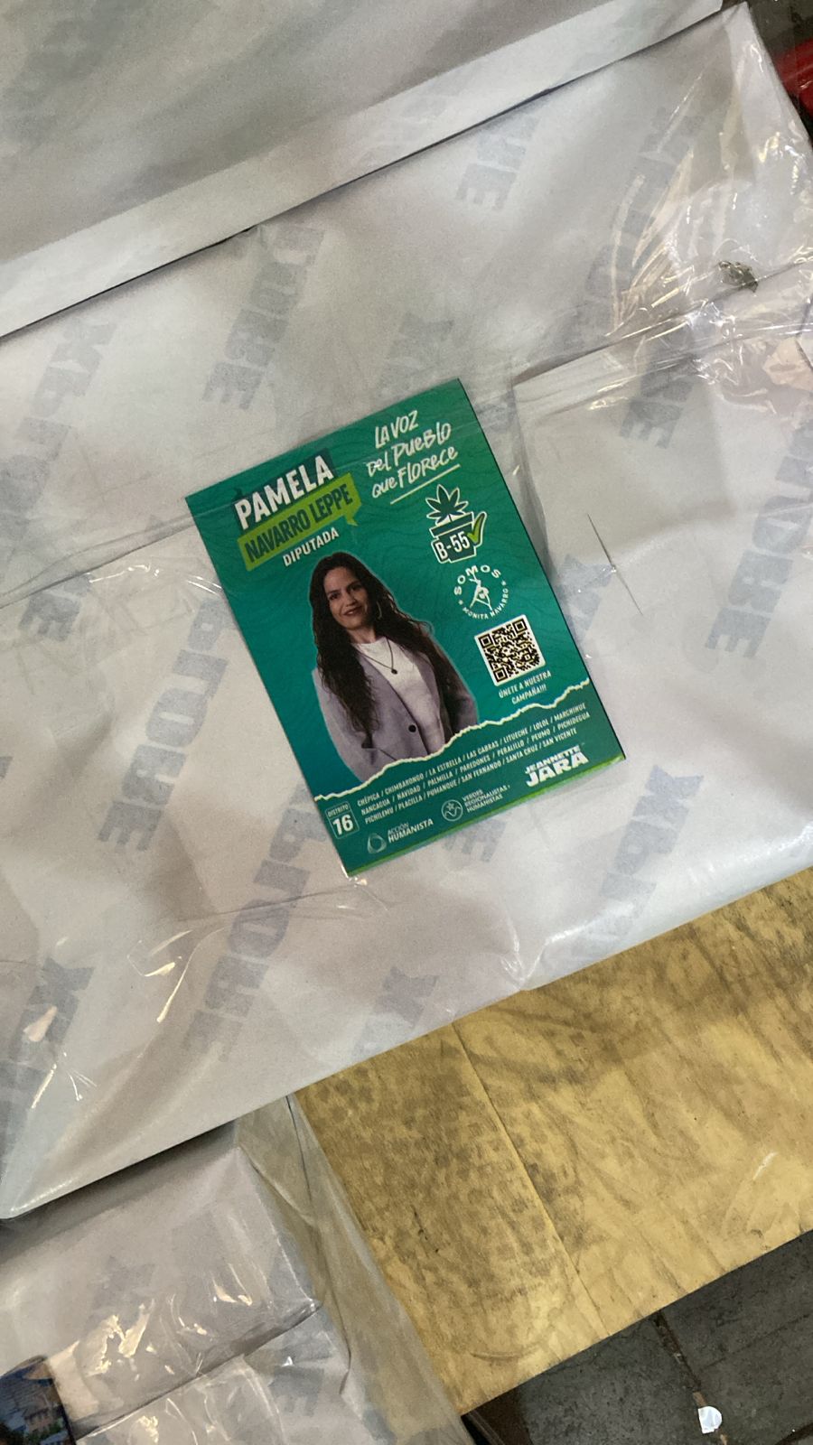 10.000 Volantes, tamaño 10x14 cm $69 c/u