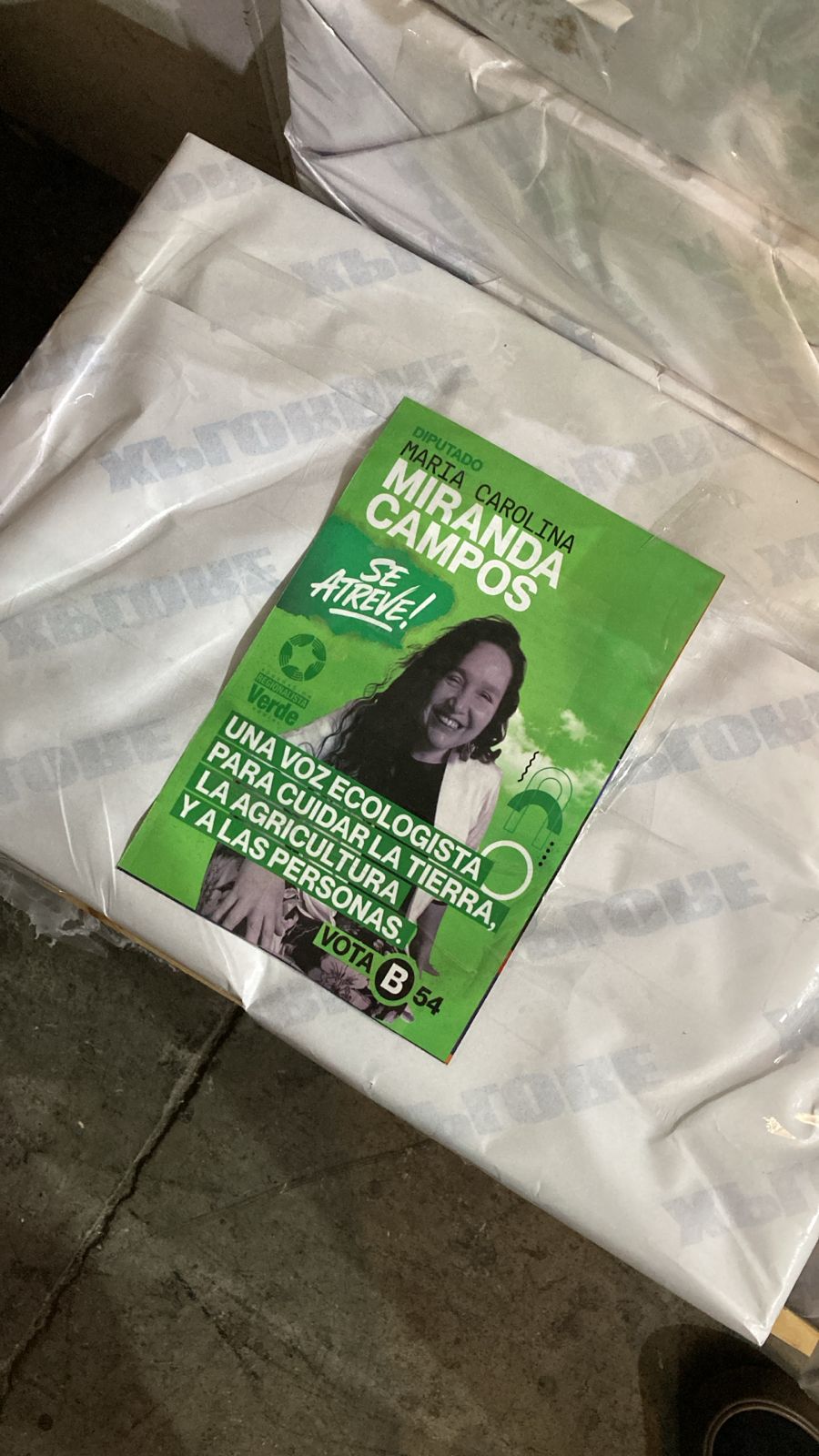 10.000 Volantes, tamaño 10x14 cm $69 c/u