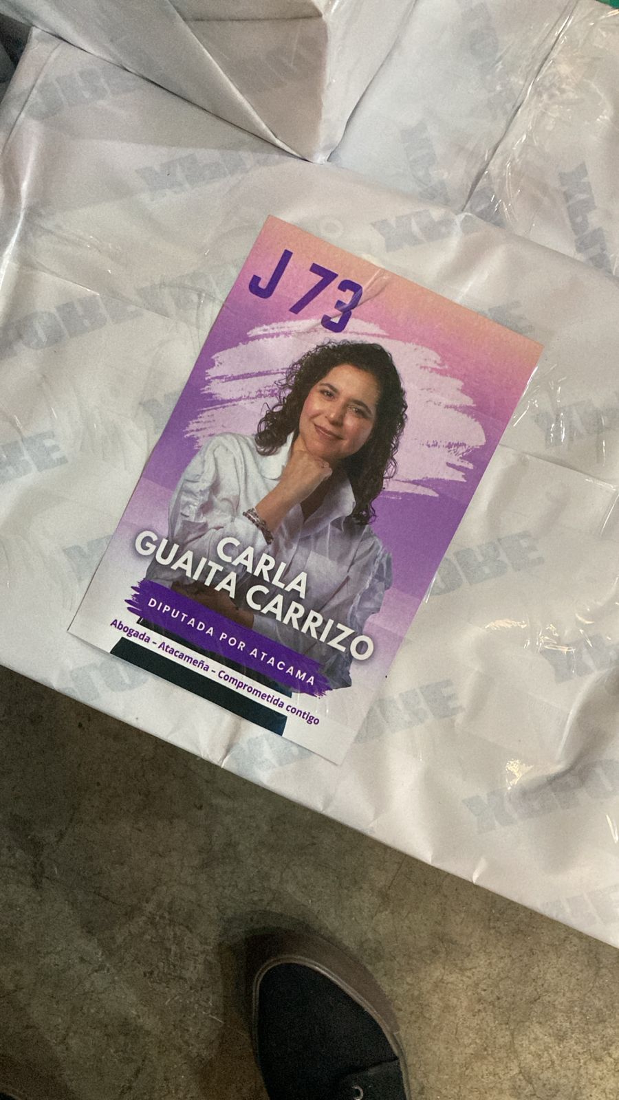 10.000 Volantes, tamaño 10x14 cm $69 c/u